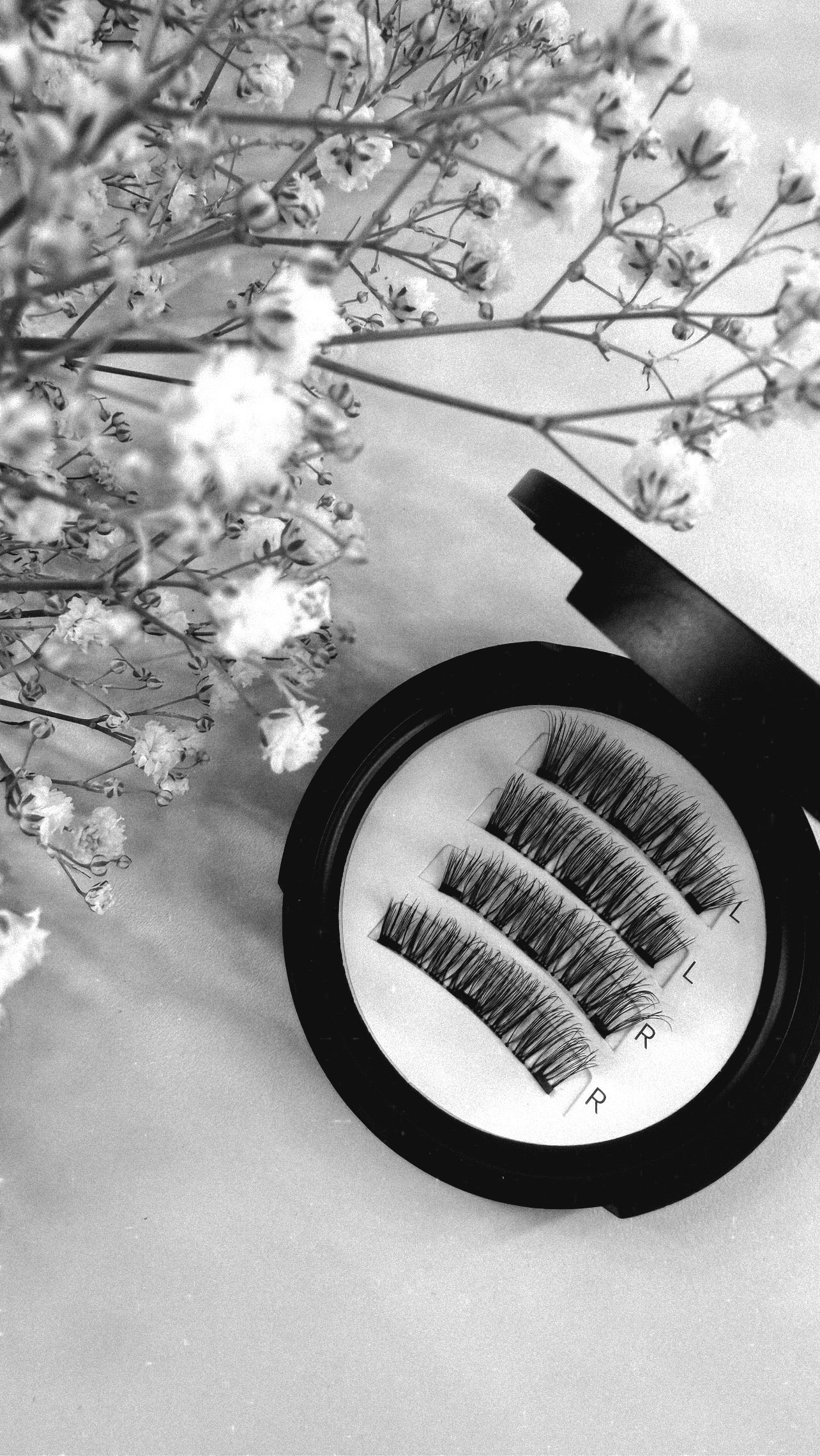 Mirella Lashes